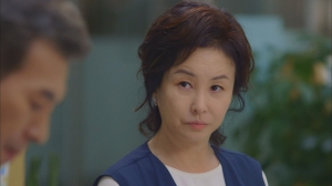 元 少女時代チェ スヨン オン ジュワン主演 今日 妻やめます 偽りの家族 第1 5話あらすじ Bs11 予告動画 ナビコン ニュース