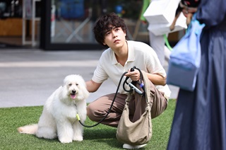 初恋DOG1