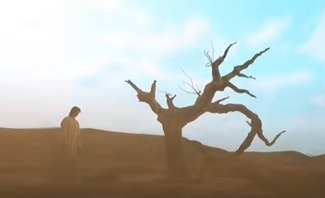 魔法のランプ11