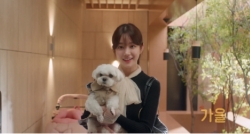 ユミの細胞たち3