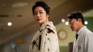 (c) 2026 KT StudioGenie Co., Ltd