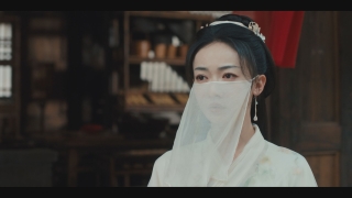 春花焔29
