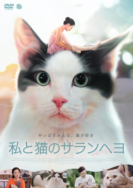 Sjヒチョルが猫の声で癒してくれる 私と猫のサランヘヨ ｄｖｄが21年2 24リリース決定 予告動画 ナビコン ニュース