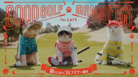 猫好き必見！かわいい猫ゴルファーに悶絶必至 自由すぎる15個のNGマナー動画とメイキング・NG集公開！