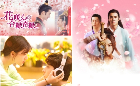 BS12、10月の中国ドラマ「花咲く合縁奇縁」「楚喬伝」「うっかり拾った恋なのに」を初放送！予告動画とあらすじ