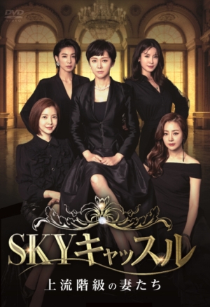 【「SKYキャッスル～上流階級の妻たち～」を2倍楽しむ】韓国ドラマ、各話あらすじ、見どころ、評判など